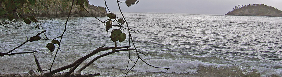 Iron Mine Bay in East Sooke, BC