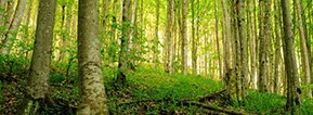 Ann's Cottage is located very close to East Sooke Wilderness Park in East Sooke, BC.